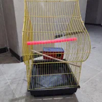 قفس|لوازم جانبی حیوانات|اردبیل, |دیوار