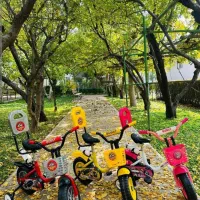 دوچرخه 12 اینبار به قیمت عمده gitoyz