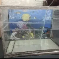 آکواریوم سالم با وسایل