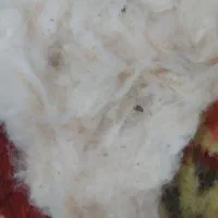 پنبه تمیز درجه یک