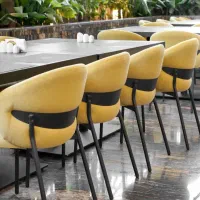 صندلی مدل ویکتور. کافه. رستوران.