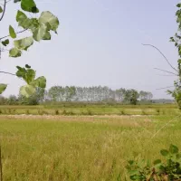 زمین-فروشی-خانلق