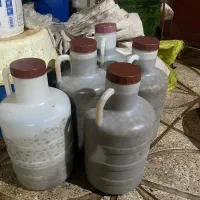 زیتون سبز شکسته