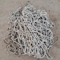 تور نخی باری