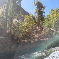 کنگ کهن سوییت و آپارتمان و تخت اجاره|اجارهٔ کوتاهمدت آپارتمان و سوئیت|طرقبه, |دیوار