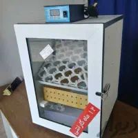دستگاه جوجه کشی ماشین جوجه کشی