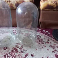 شیشه تراریوم