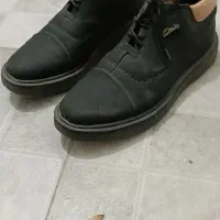 کفش چرمی نو|کیف، کفش، کمربند|قم, حکمت شمالی|دیوار