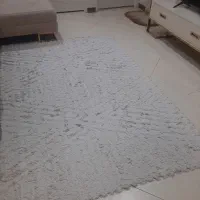 فرش شگی|فرش|تهران, استخر|دیوار