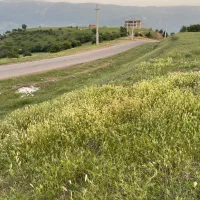 زمین ییلاقی سند دار بر جاده اصلی|فروش زمین و ملک کلنگی|برهسر, |دیوار