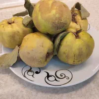 محصولات ارگانیک کلات نادر|خوردنی و آشامیدنی|مشهد, مشکینی (شهرک غرب)|دیوار