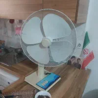 یخچال فریزر دوو پنکه پایه کوتاه|یخچال و فریزر|تهران, حمزهآباد|دیوار