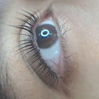 اموزش اکستنشن مژه ولیفت مژه وابرو وکاشت هیدن|خدمات آرایشگری و زیبایی|یزد, |دیوار