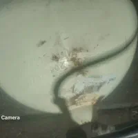 گاز سی ان جی