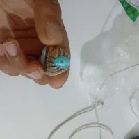 انگشتر فیروزه|جواهرات|زابل, |دیوار