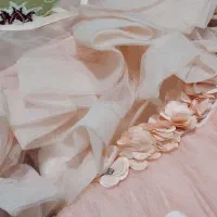 لباس مجلسی|لباس|پارس‌آباد, |دیوار