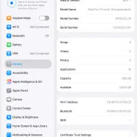 iPad Pro 11 inch 256 GB|تبلت|بندرعباس, |دیوار