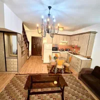 نیازمند هم خانه