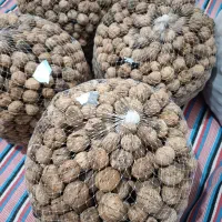 گردو درجه ۱ تا درجه ۳|خوردنی و آشامیدنی|شهر بابک, |دیوار