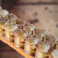 فروش ژل رویال