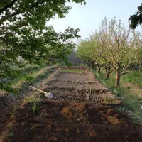 کارگرباغ،باغچه