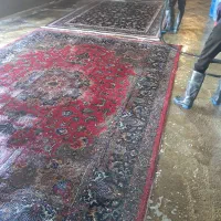 نیرو کار