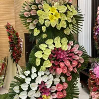 فروش تخصصی تاج گل نمایشگاهی افتتاحیه بهترین قیمت|گل و گیاه طبیعی|تهران, بازار|دیوار