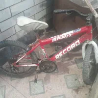 شهر شادگان