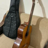 چندتا ساز خوش قیمت|گیتار، بیس، امپلیفایر|بابل, |دیوار