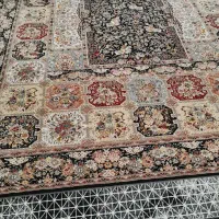 فرش ۱۲ متری|فرش|تربتحیدریه, باغ سلطانی|دیوار