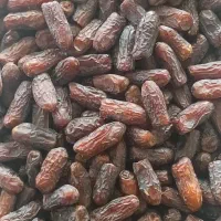 خرما پیاروم صادراتی و خاصویی زیر قیمت کل ایران