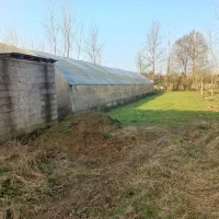 فروش گلخانه دست دوم|فروش دفتر صنعتی، کشاورزی، تجاری|صومعهسرا, |دیوار