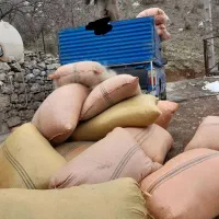 وانت نیسان کرایه