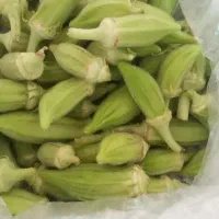 بلمیه ریز