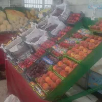 پالت میوه فروشی