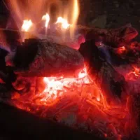 فروش زغال کبابی بادام به صورت تکی و عمده ای