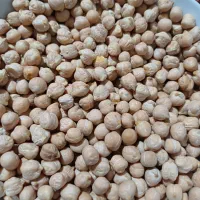 نخود کرمانشاهی