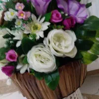 گل سبدی قیمت پیشنهادی