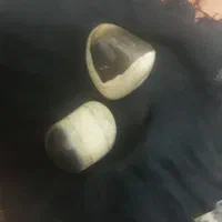 مهره سلیمانی