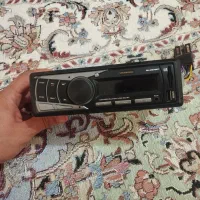 ضبط شروود سالم