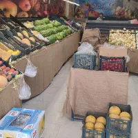 فروش پالت میوه و پالت هندوانه