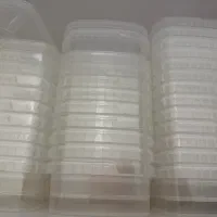 ظرف ماکروفری