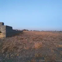 سنگ-سفیدگلبهار