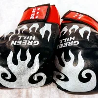 هوگو ووشو دستکش کاراته کلاه رزمی و...|تجهیزات ورزشی|مرند, |دیوار