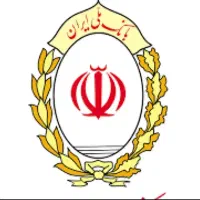 ضامن میشم بصورت شراکتی