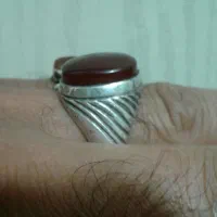 جوجه سهره نر|پرنده|اسلامشهر, شهرک محمدیه|دیوار