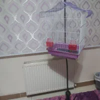 فروش قفس پرنده .