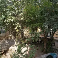 ویلایی دربست روبروی شهید کشوری|اجارهٔ خانه و ویلا|اصفهان, ردان|دیوار