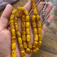 کمپلو شمالی