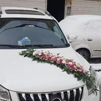 گل آرایی ماشین عروس|گل و گیاه طبیعی|مشهد, گلبرگ شمالی|دیوار